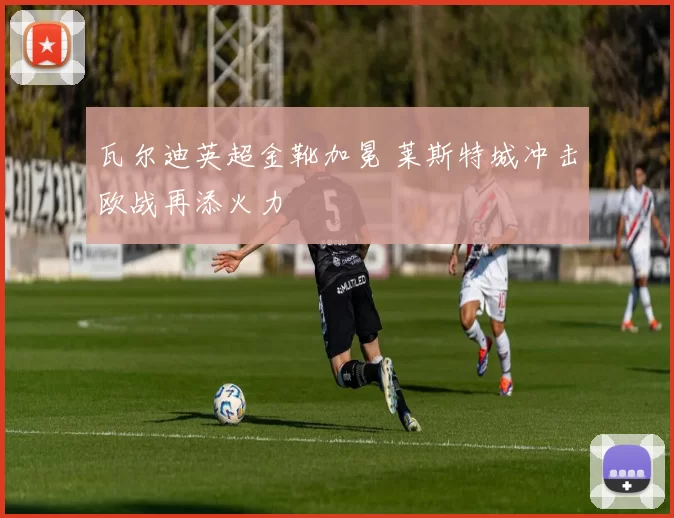 瓦尔迪英超金靴加冕 莱斯特城冲击欧战再添火力