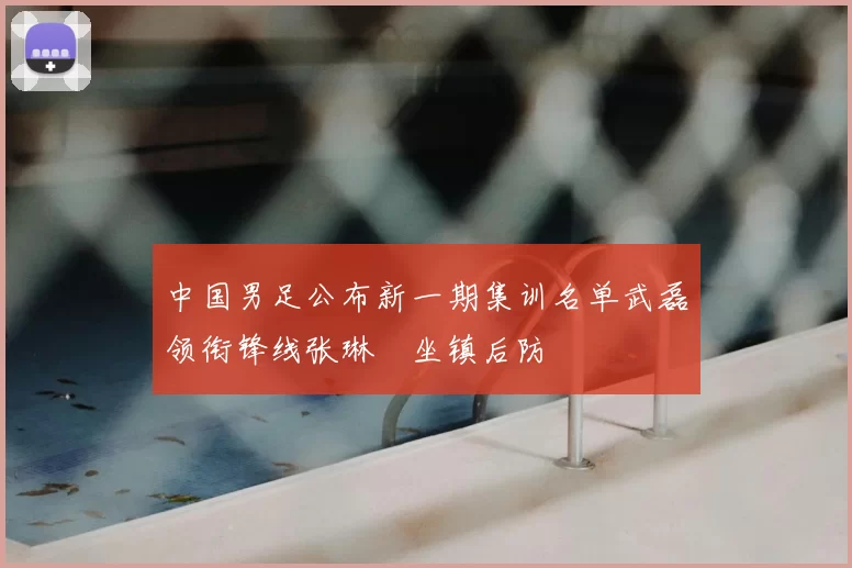 中国男足公布新一期集训名单武磊领衔锋线张琳芃坐镇后防